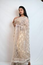 Champagne Beige Sequin Embroidered Net Saree with Designer Border